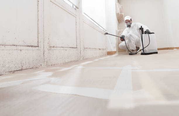 24/7 Emergency Mold Cleanup experts in Gainesville, VA
