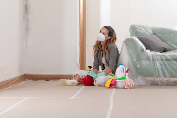Reliable Mold Cleanup contractor in Gainesville, VA by Cheap Mold Removal